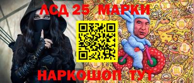 гидропоника Сланцы