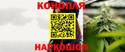 гидропоника Сланцы