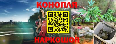 PSILOCYBIN Славянск-на-Кубани