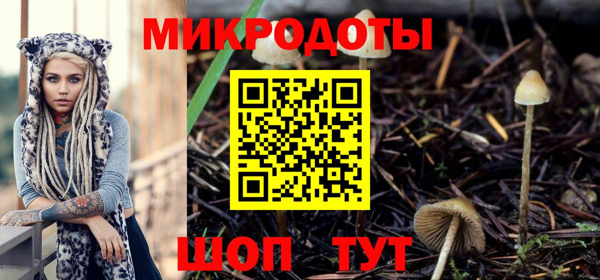 Галлюциногенные грибы Cubensis  Галлюциногенные грибы прущие грибы  Россошь  где найти наркотики  Вход с VPN 
